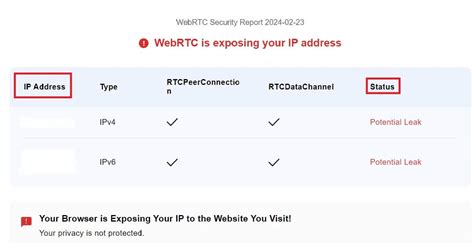 Test de fuite WebRTC 